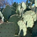 Vagabond Tales- We Made It …Big Bend