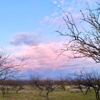 Vagabond Tales- Let’s Try This Again