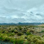 Vagabond Tales- California Dreamin’