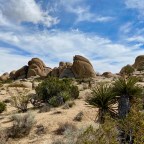 Vagabond Tales- Shucks!  Forgot Our Climbing Gear!