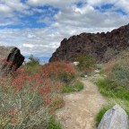 Vagabond Tales-  No Doubt…He Loves Me