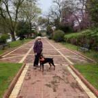 Vagabond Tales-Rest Day at the Springs