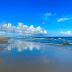 Vagabond Tales- Revisit Brookgreen and Huntington Beach, South Carolina