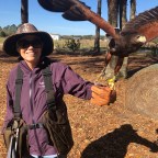 Vagabond Tales- Soaring with the Raptors