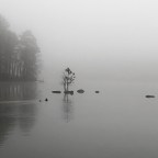 Vagabond Tales-Tiptoe Out of the Fog to Find Spring Has Sprung