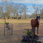 Vagabonds Get a Great  Sendoff…                  Final Stop Today…One of Florida’s First State Parks