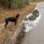 Vagabond Tales-Rainy Days and Tuesday’s Don’t Get us Down