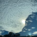 Vagabond Tales-Sunny with a Chance of Cloud Bread