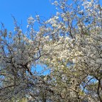 Vagabond Tales- Take on Stephen Foster Folk Center State Park