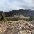 Vagabond Tales- Yellow Mustard and Soy Sauce Don’t Make Good Air Fresheners