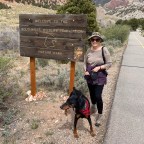 Vagabond Tales-  A Day of Rest