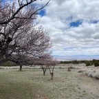 Vagabond Tales-  The Great Basin- Where the Desert Meets the Mountains!