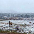 Vagabond Tales-A Little Bit of This and That