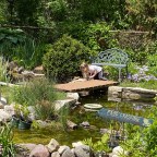 Vagabond Tales- Laurie’s Sanctuary and Morton Arboretum