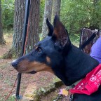 Vagabond Tales-Sweet Frigid Home Alabama