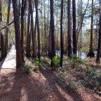 Vagabond Tales- Harry Said He Didn’t Need to Read This Sign