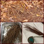 Vagabond Tales-  Pooh Says,  “It’s a Rather Blustery Day,”