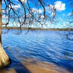 Vagabond Tales- 🎶 Everyone Knows It’s Windy