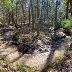 Vagabond Tales- Hike the Fort Braden Trails