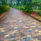 Vagabond Tails-Here, There and Everywhere