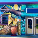 Vagabond Tales- Funky Art