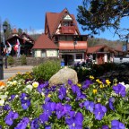 Vagabond Tales- Helen and Back Food Tour for 4