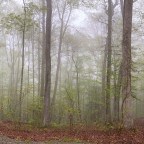Vagabond Tales- Interstate  Breaks,Kentucky