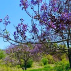 Vagabond Tales- “Brake Down” at the Breaks