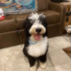 Vagabond Tales-Tag You’re It!