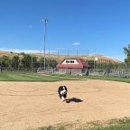 Vagabond Tales-  Finn Runs the Bases in Casper, Wyoming