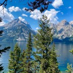 Vagabond Tails-Explore the Tetons!