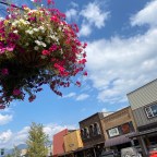 Vagabond Tales-  A Visit to Whitefish
