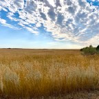 Vagabond Tales-Hike Even When the Chips Are Down