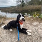 Vagabond Tales-Arrive in Saint Augustine