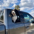 Vagabond Tales-Hike Into the Floridian Prairie Wilderness