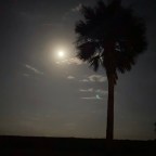 Vagabond Tales- Walked Against the Wind