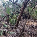 Vagabond Tales- See First Hand the Devastating Effects of Hurricane Ian