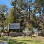 Vagabond Tales- Arrive at Manatee Springs