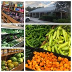 Vagabond Tales- It’s Raining, It’s Pouring the Vagabond s Get Going