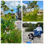 Vagabond Tales-  Sugarloaf Key…Where the Sky’s Are Blue, the Ocean Turquoise,  and the Weather is Warm