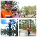 Vagabond Tales-Wheels on the Bike Go Round and Round