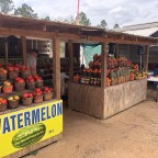 Vagabond Tales-Bid Florida a Fond Good-bye