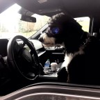 Vagabond Tales-Home Safely