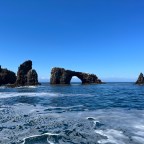 Vagabond Tales- Walking in the Bottom of A Bird Cage