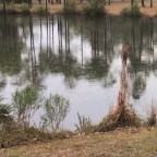 Vagabond Tails- Rain, Rain Go Away