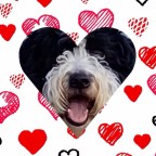 Vagabond Tales- Crusts and Cupids