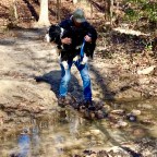 Vagabond Tales-  Ask…Do Dogs Have Elbows?