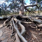 Vagabond Tales-Trails and Tales