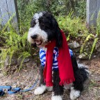 Vagabond Tales-Bet You Can’t Spot Waldo