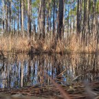 ☀️Vagabond Tales-  Beware!  Sand Between His Toes Makes Him Crazy!